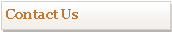 Text Box: Contact Us