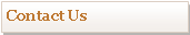Text Box: Contact Us