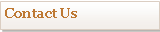 Text Box: Contact Us